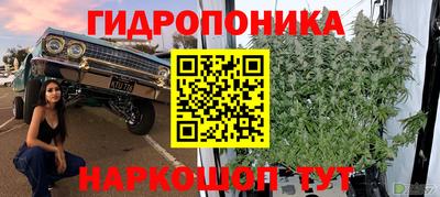 spice Кулебаки