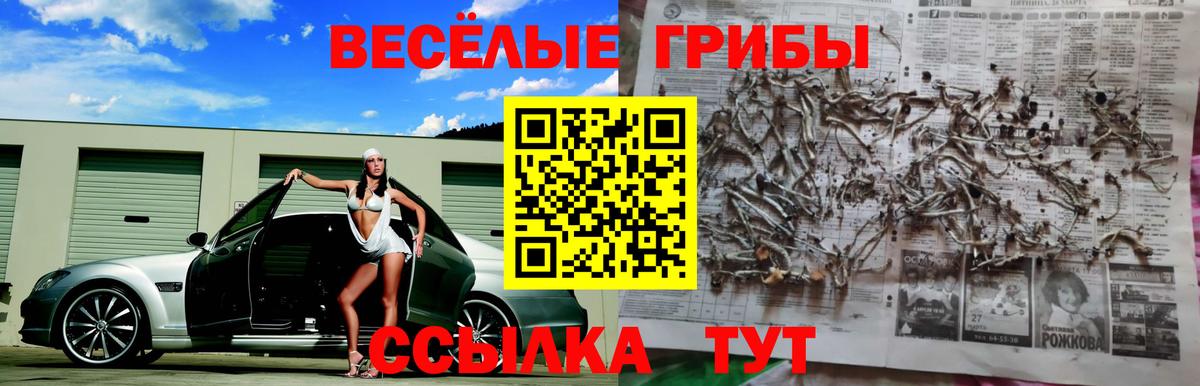 Псилоцибиновые грибы Magic Shrooms  Галлюциногенные грибы мухоморы  Вязьма  цены наркотик  Вход с VPN 